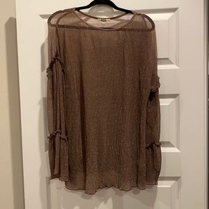 Sheer shimmer blouse. Size medium.